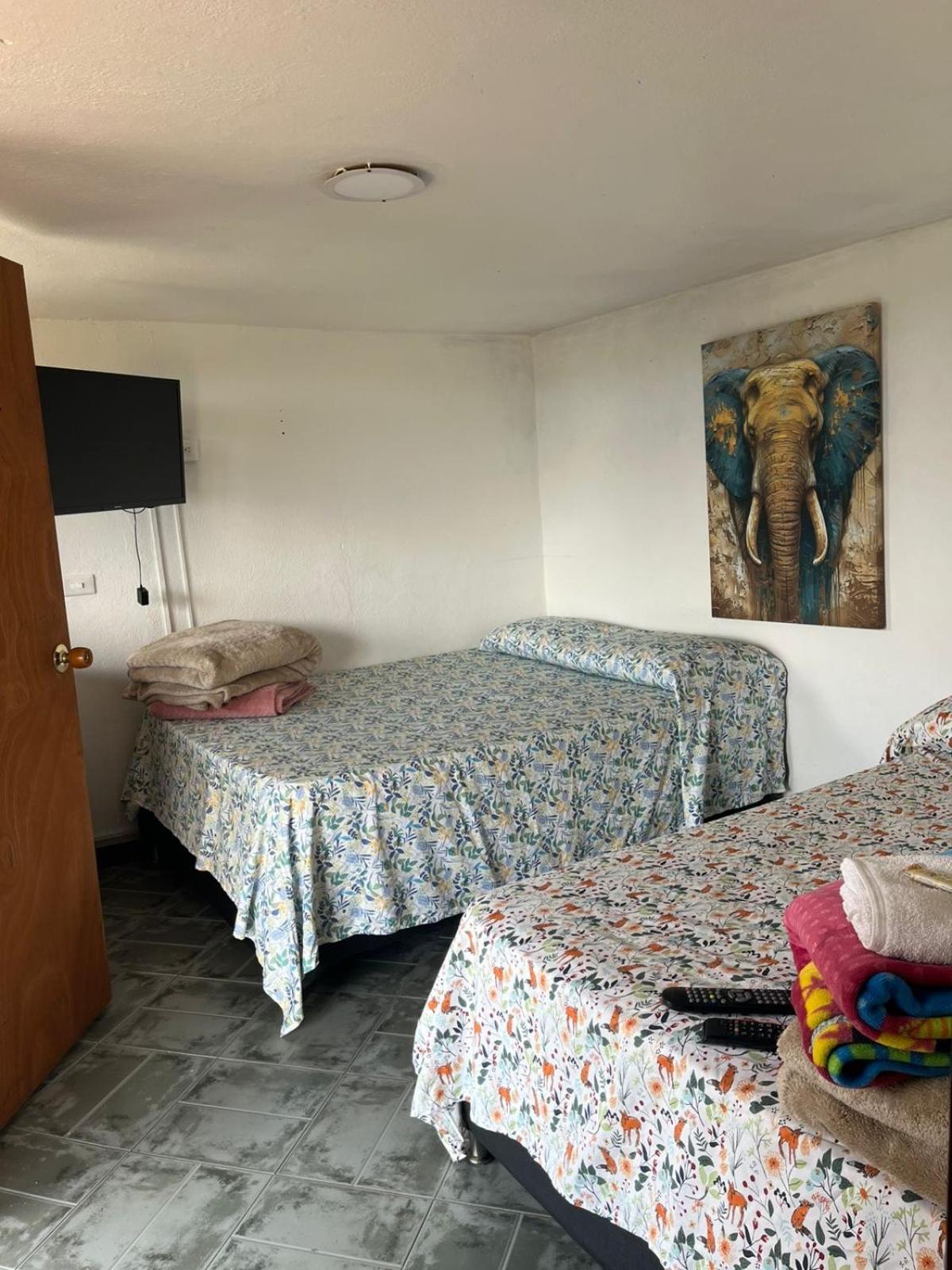 Hostal Inn II Rionegro Exteriör bild